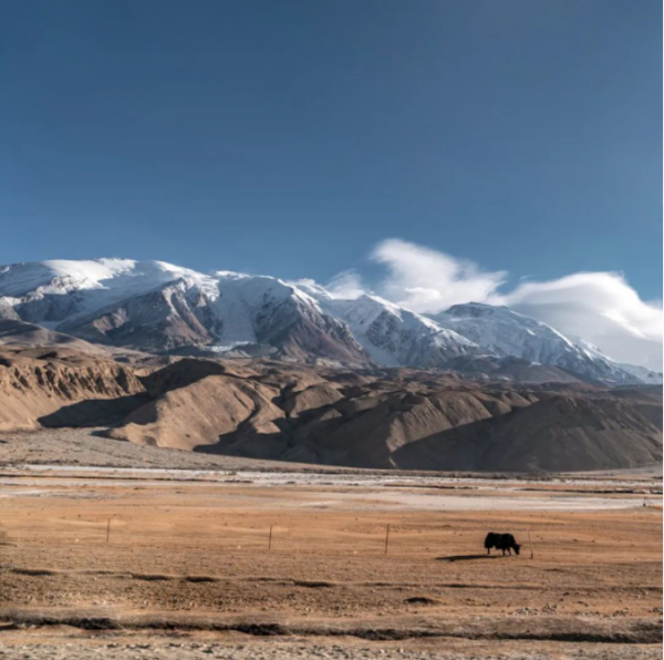 玩帕米尔旅行画报 | 春光唤醒的高原