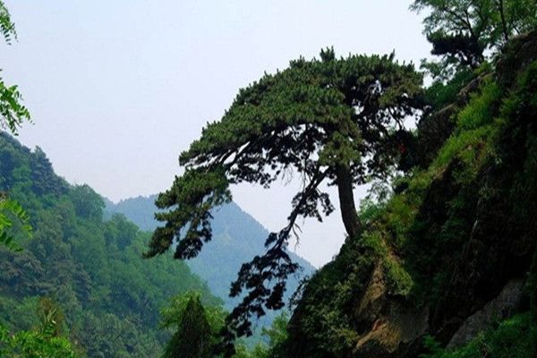 泰山风景名胜区