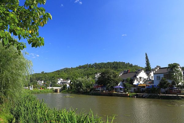 石塘竹海