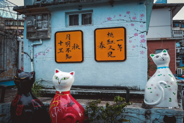 顶澳仔猫街