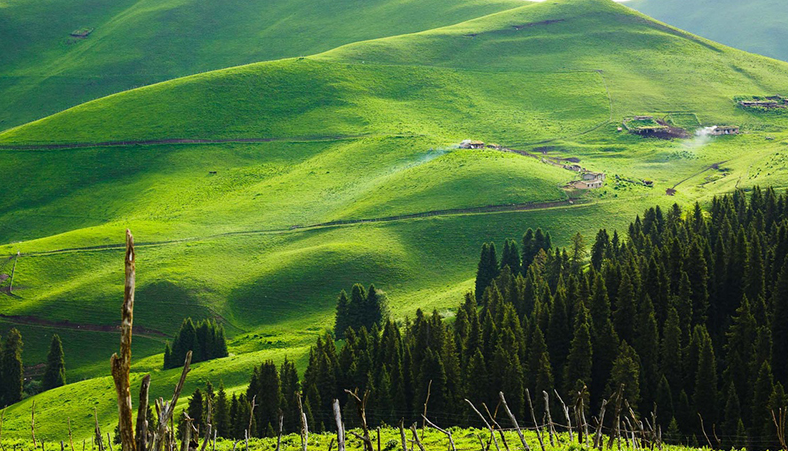 东西喀拉峻草原