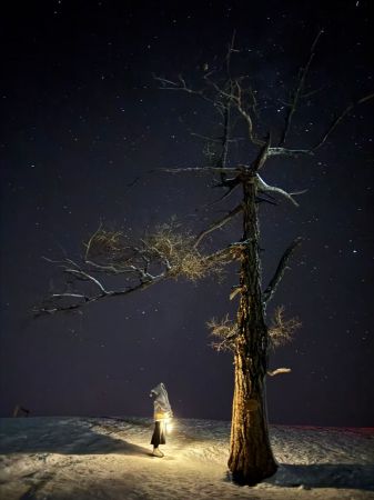 白哈巴【孤独的树】晚