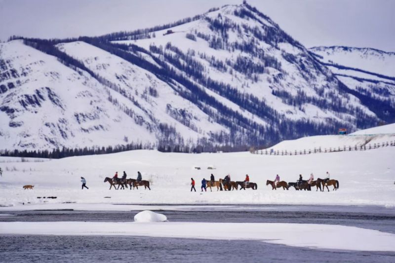 喀纳斯牧民转场