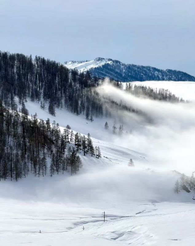 禾木【冬-雪谷】