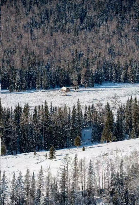 禾木【冬-小屋】